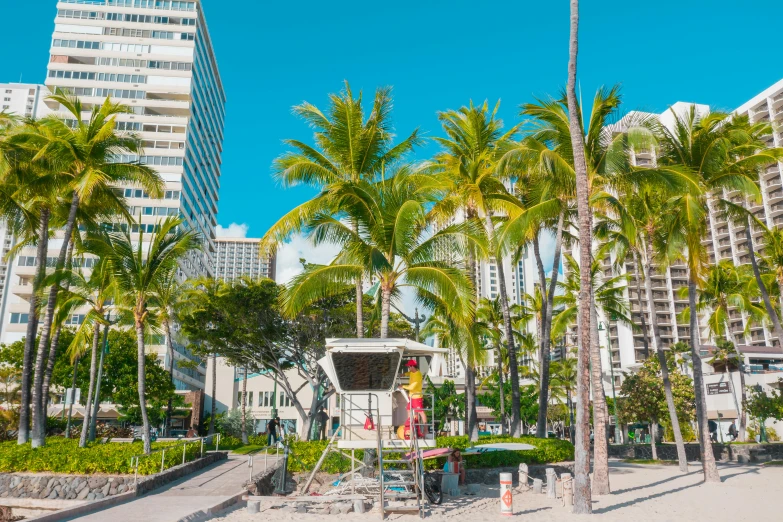 a group of trees and beach chairs in a city