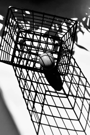 a black and white photo of a bird in a cage, an album cover, inspired by André Kertész, unsplash, conceptual art, basketball, ffffound, 15081959 21121991 01012000 4k, summertime