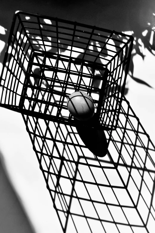 a black and white photo of a bird in a cage, an album cover, inspired by André Kertész, unsplash, conceptual art, basketball, ffffound, 15081959 21121991 01012000 4k, summertime