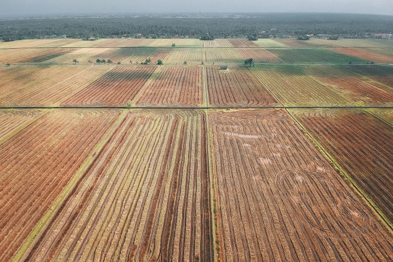 an aerial view of a plowed field, by Daniel Lieske, cambodia, mixed art, joel sternfeld, square lines