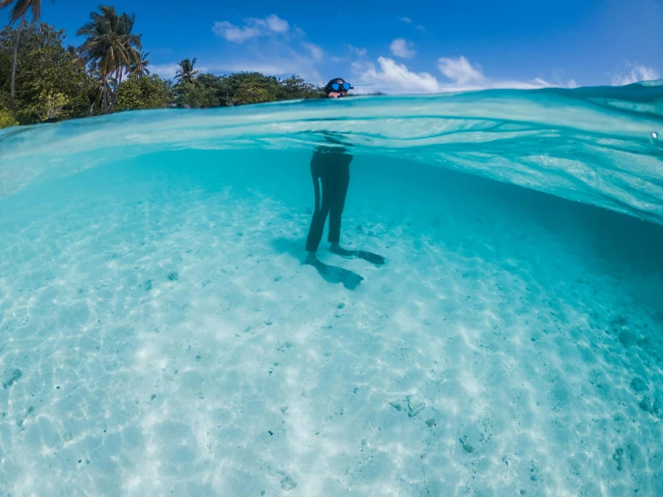 a person swimming in the ocean with palm trees in the background, by Peter Churcher, unsplash contest winner, delicate coral sea bottom, iridescent shimmering pools, standing on surfboards, maldives in background