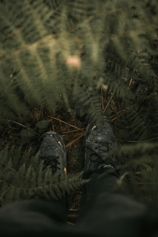 a person standing in the middle of a forest, wearing military shoes, ferns, moody cinematography, shot from above