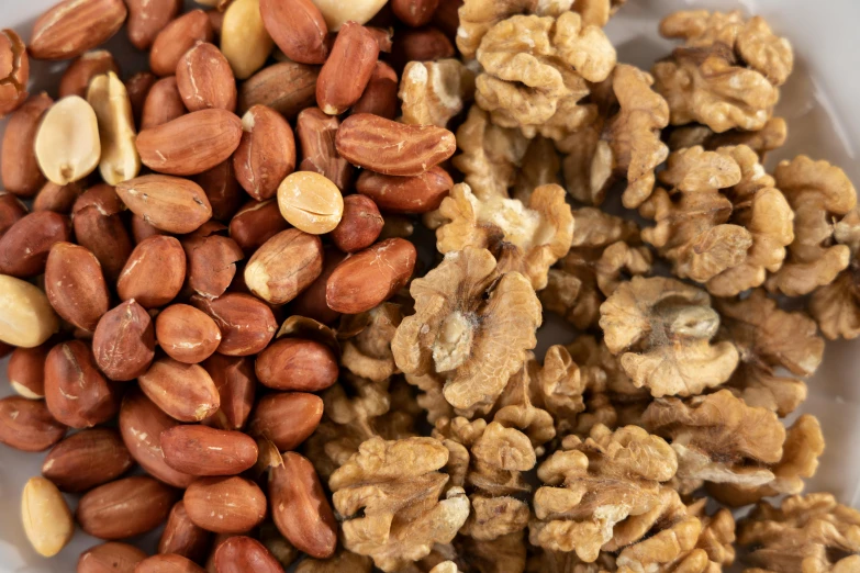 a white bowl filled with nuts and peanuts, a portrait, pexels, close-up photo, thumbnail, digital image, multi-part
