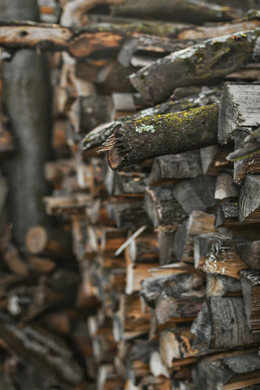 a pile of logs stacked on top of each other, a picture, pexels contest winner, paul barson, grey, warm wood, fires