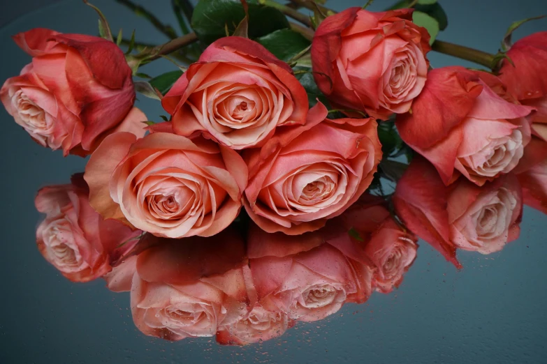 a bunch of pink roses sitting on top of a table, reflection on water, vibrant but dreary orange, slide show, on a gray background