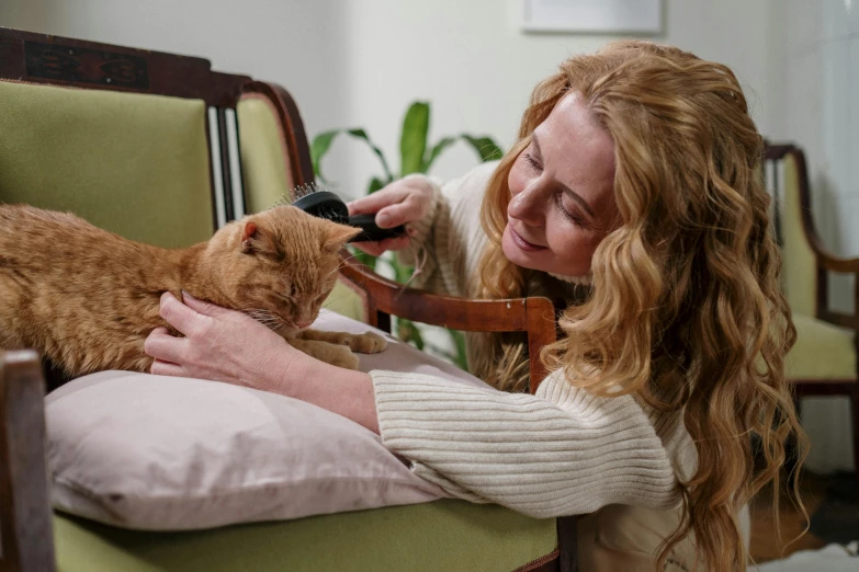 a woman brushing a cat's fur with a brush, by Julia Pishtar, ginger wavy hair, with electric arc device, profile image, cuddling