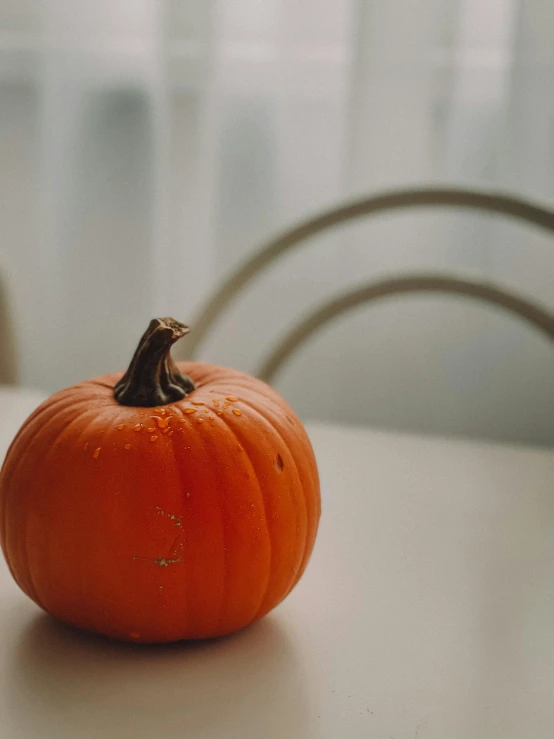 a small orange pumpkin sitting on top of a table, promo image, multiple stories, 6 : 3 0 am, gif