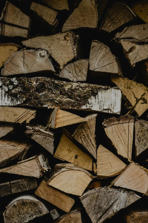 a pile of firewood stacked on top of each other, pexels contest winner, profile image, rectangle, crisp and sharp, petite