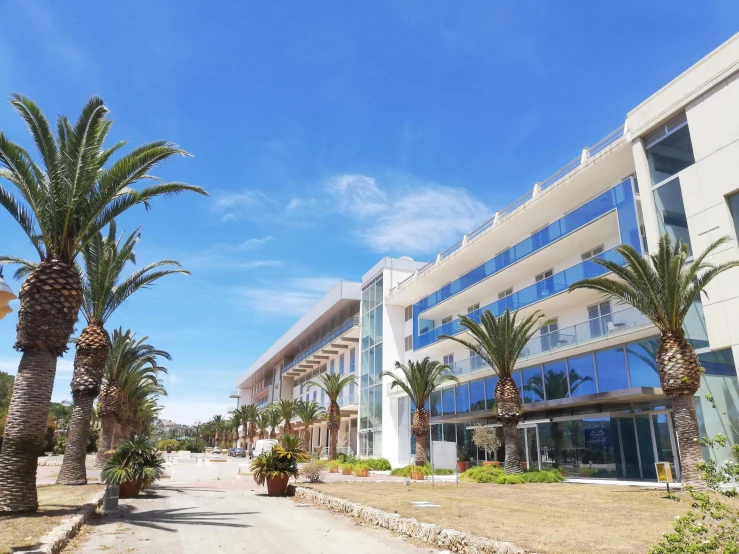 palm trees are growing in the foreground outside an office building