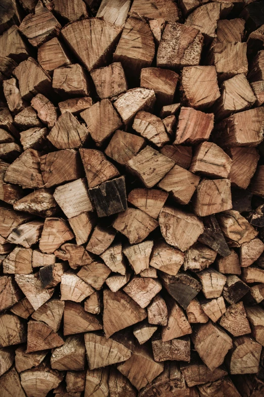 a pile of wood stacked on top of each other, by Jesper Knudsen, trending on pexels, made of wood, print, brown, fires