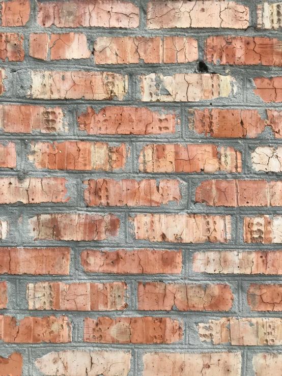 the brick wall has no other bricks on it