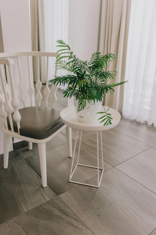 a potted plant on a table in front of a chair