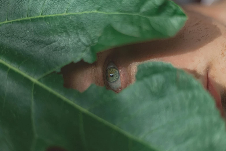 a close up of a person looking through a leaf, inspired by Anna Füssli, clear eyes looking into camera, hibernation capsule close-up, biophilia, with small eyes