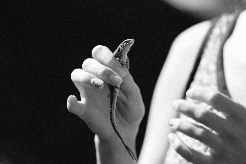 a black and white photo of a woman holding a lizard, by Emma Andijewska, snakes, small, low details, akira hiramoto