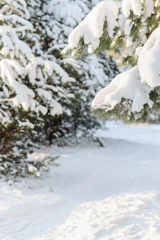 a man riding skis down a snow covered slope