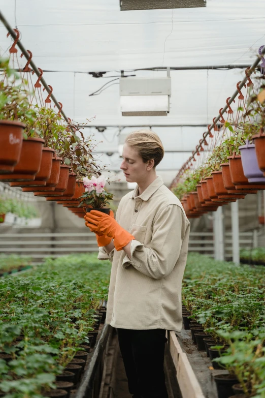 a woman holding a potted plant in a greenhouse, an album cover, by Jakob Emanuel Handmann, unsplash, renaissance, sad man, carrying a tray, vitalik buterin, inspect in inventory image