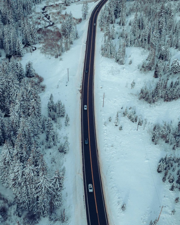 a winding road in a snowy landscape with trees