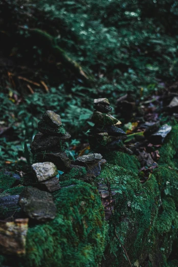 a pile of rocks sitting on top of a tree stump, unsplash, lush mossy canyon, lo-fi, staggered depth), ((rocks))