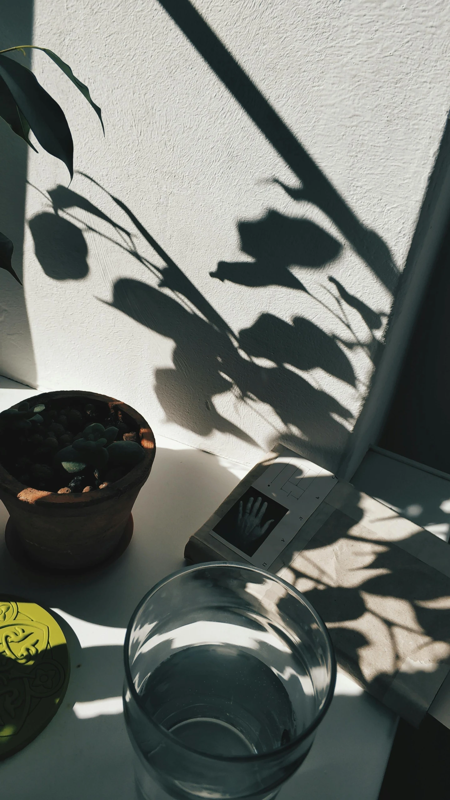 a laptop computer sitting on top of a white desk, inspired by Elsa Bleda, trending on pexels, photorealism, shadows from trees, plants in beakers, shaft of sun through window, taken on iphone 14 pro