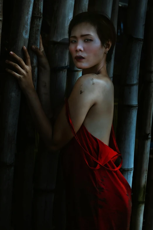 a woman in a red dress leaning against a bamboo fence, inspired by Taro Yamamoto, art photography, 8 k sensual lighting, 奈良美智, paolo roversi, bo xun ling