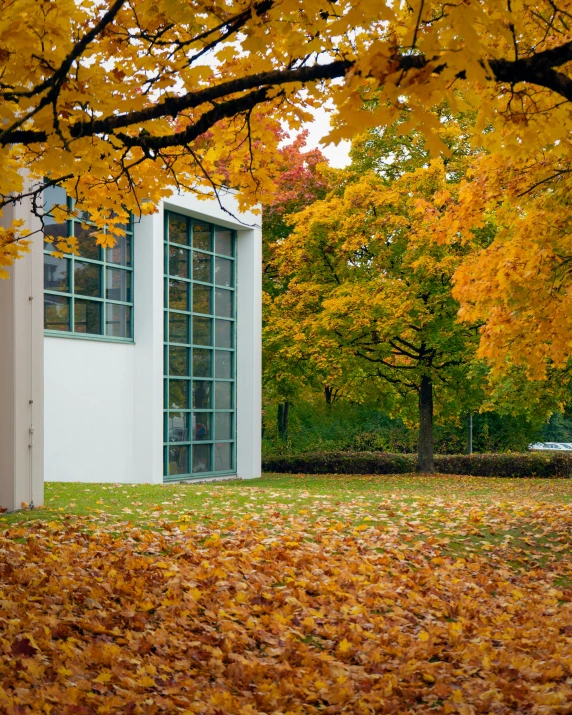 a red fire hydrant sitting on top of a lush green field, bauhaus, fall leaves on the floor, museum picture, thumbnail, dezeen