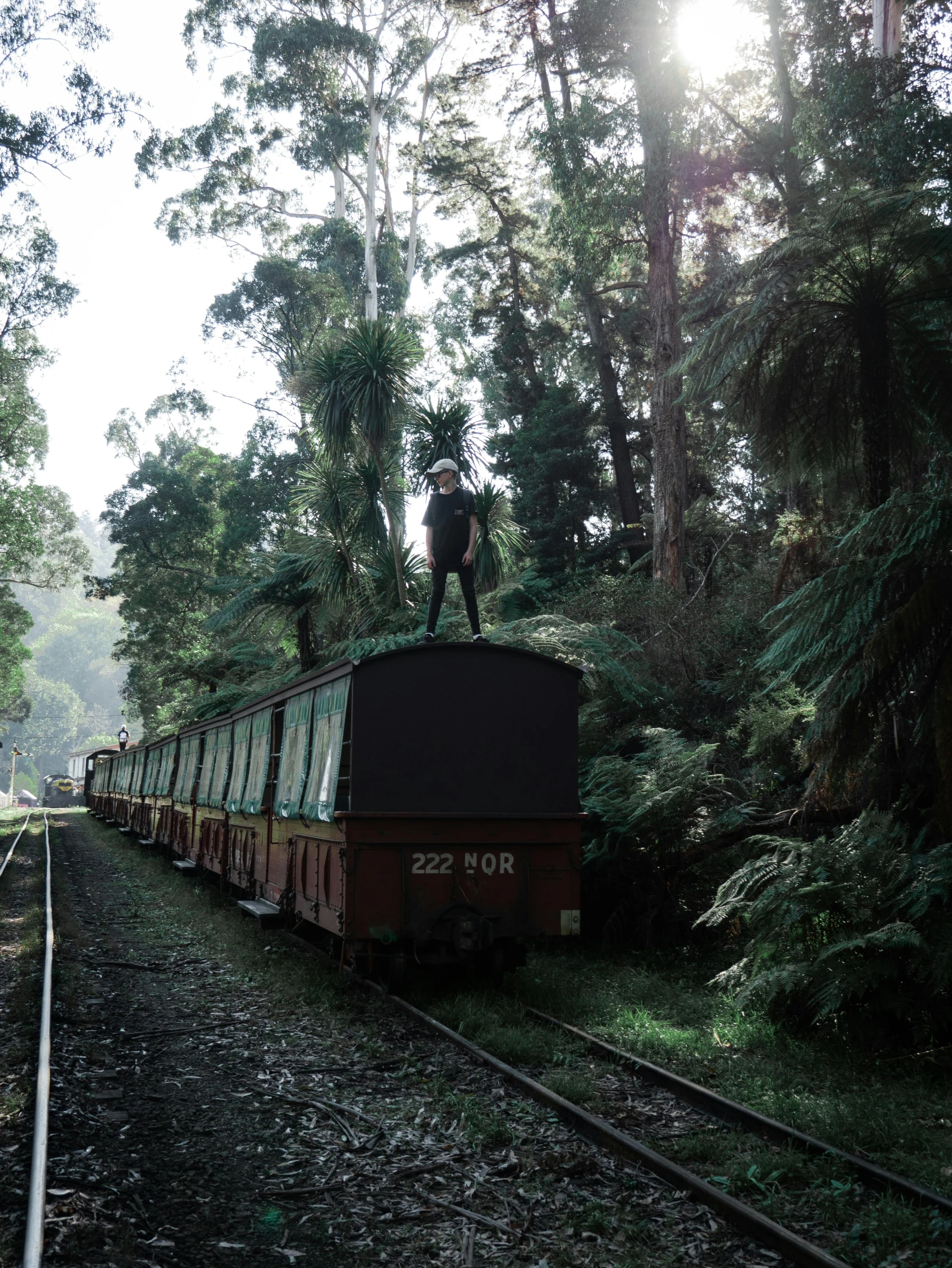 a train traveling through a lush green forest, an album cover, unsplash contest winner, sumatraism, photo of a model, lachlan bailey, low quality photo, roofed forest