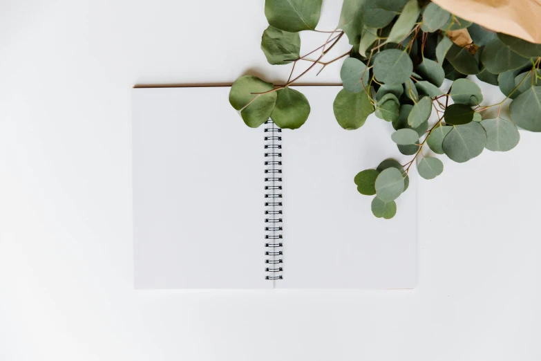 an open notebook sitting on top of a table next to a plant, trending on unsplash, eucalyptus, on a white background, background image, curled perspective