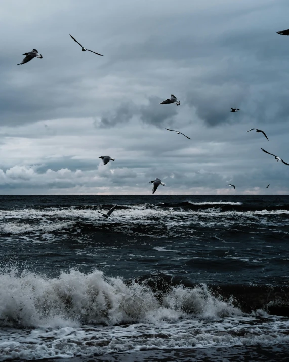 a flock of birds flying over a body of water, by Jesper Knudsen, pexels contest winner, surrealism, stormy seas, thumbnail, multiple stories, high quality photo
