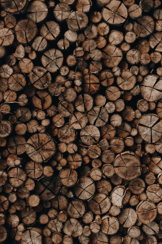a pile of wood stacked on top of each other, by Jesper Knudsen, trending on unsplash, large scale photo, brown, botanical, graphic”