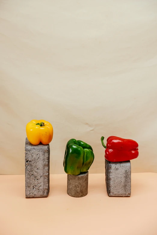 a group of peppers sitting on top of cement blocks, a still life, inspired by Nam Gye-u, concrete art, medium height, ignant, vegetables, vibrant lights