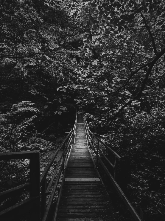 a black and white photo of a bridge in the woods, by andrei riabovitchev, cinematic. by leng jun, jovana rikalo, steps, lost photo