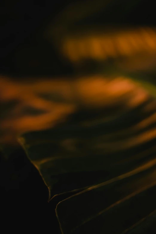 a lit candle sitting on top of a wooden table, a macro photograph, unsplash, lyrical abstraction, chest covered with palm leaves, dark photo, translucent gills, close up portrait shot