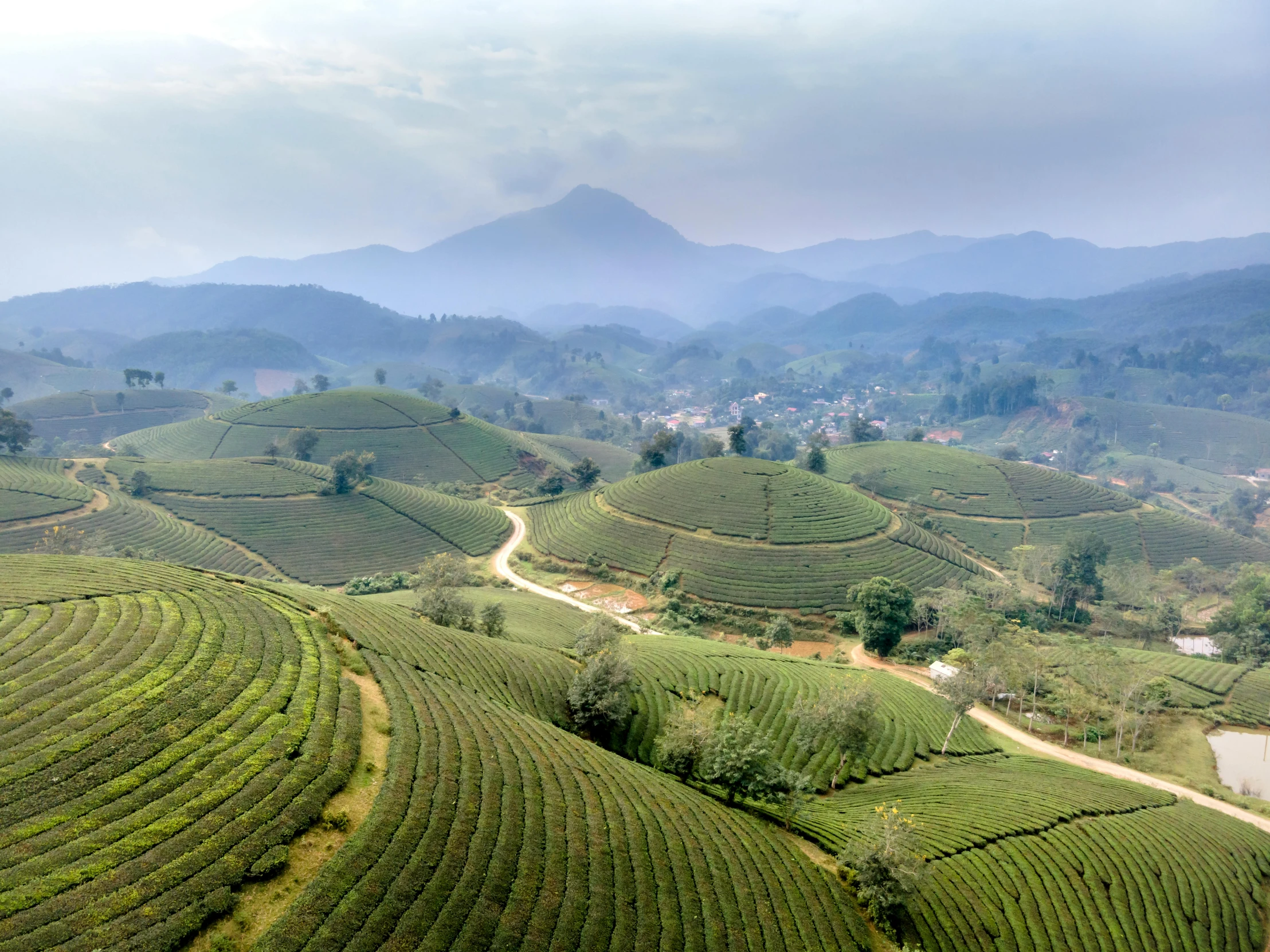 a landscape of crops and mountains in the distance