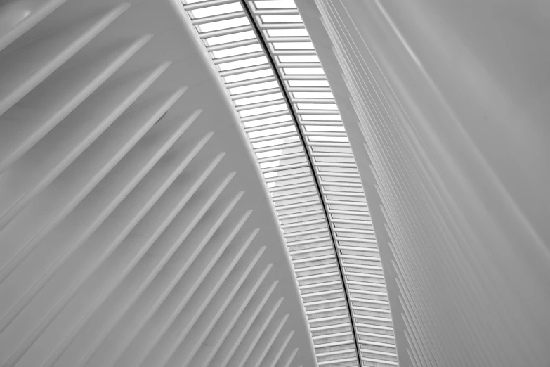 a black and white photo of the inside of a building, by Carey Morris, pexels contest winner, light and space, calatrava, soft colors mono chromatic, ny, colonnade