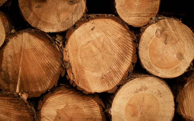 a pile of wood stacked on top of each other, by Jesper Knudsen, trending on pexels, round-cropped, profile image, hyperrealistic ”, thumbnail