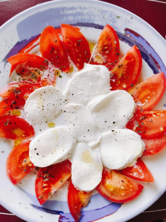 a plate of tomatoes and mozzarella on a table, trending on unsplash, art nouveau, 🎀 🗡 🍓 🧚, petals, whipped cream on top, taken in the late 2000s