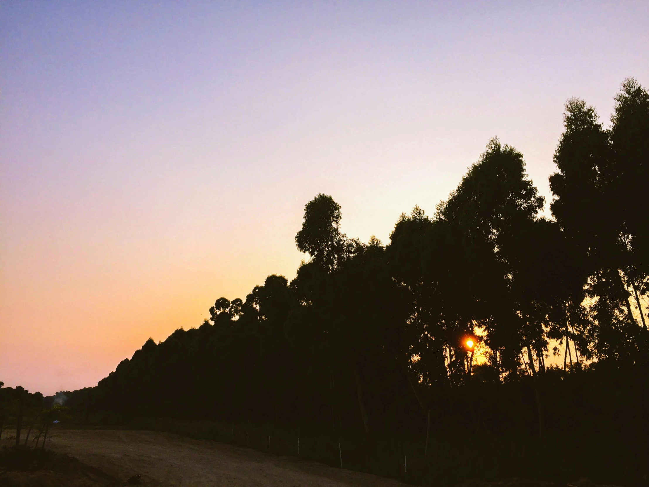 the sun is setting behind the trees on the side of the road, an album cover, unsplash, australian tonalism, instagram picture, long violet and green trees, ultra wide horizon, silhouetted