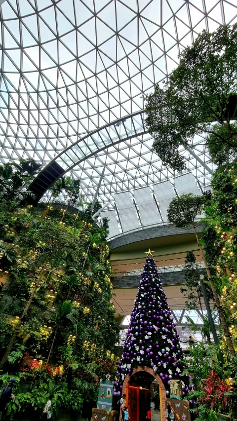 a large christmas tree sits under a glass ceiling
