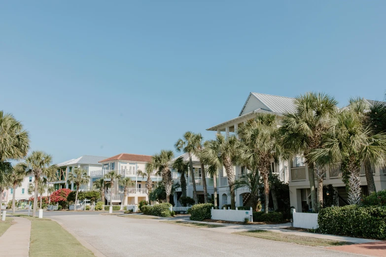 a residential street is lined with palm trees