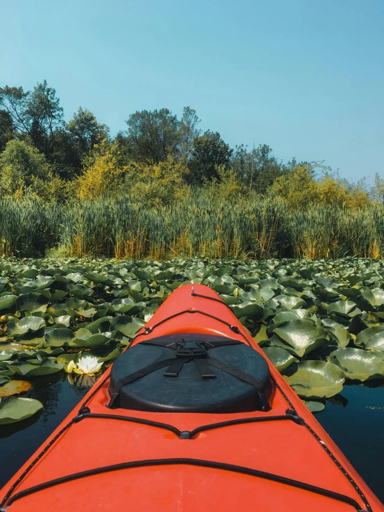 a red kayak sitting on top of a body of water, water lilies, near a lake, in the center of the image