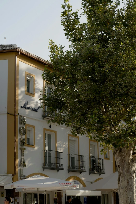 a group of people walking past a tall white building with a tree