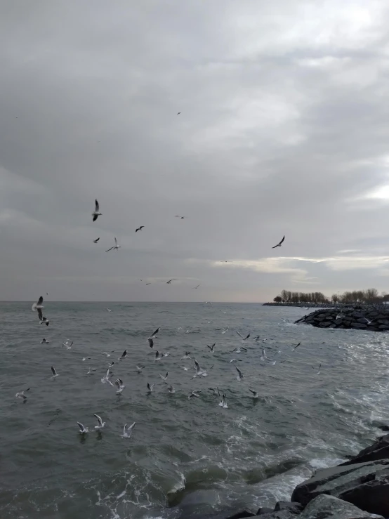 a flock of birds flying over a body of water, overcast!!!, cleveland, fish in the background, today\'s featured photograph 4k