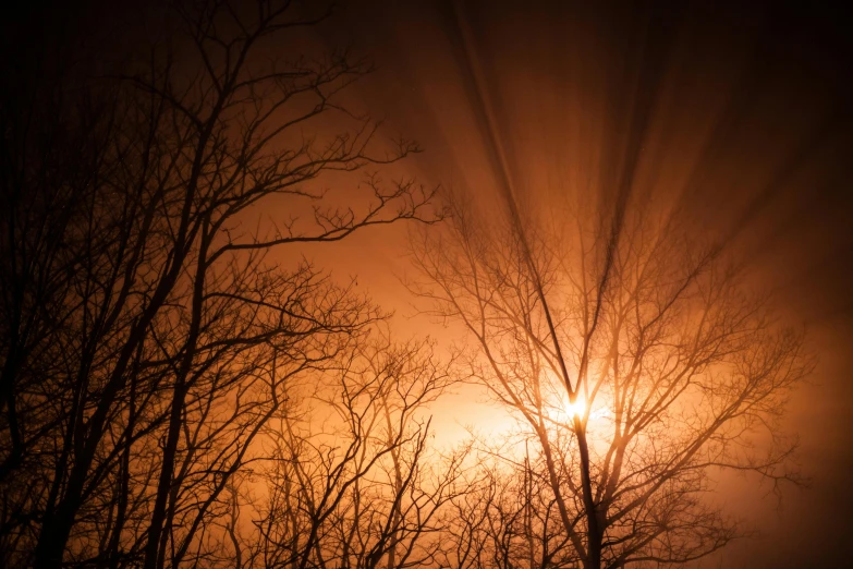 the sun is shining through the trees, by Robert Storm Petersen, pexels contest winner, romanticism, dark orange night sky, sun shaft, intricate light, today\'s featured photograph 4k