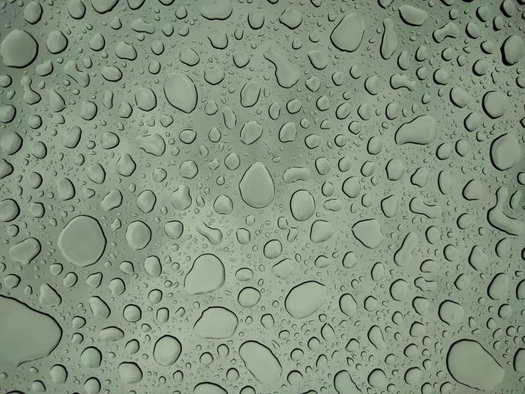 a close up of water droplets on a glass surface, a microscopic photo, pixabay, minimalism, greenish skin, matte gray background, fractal, flattened