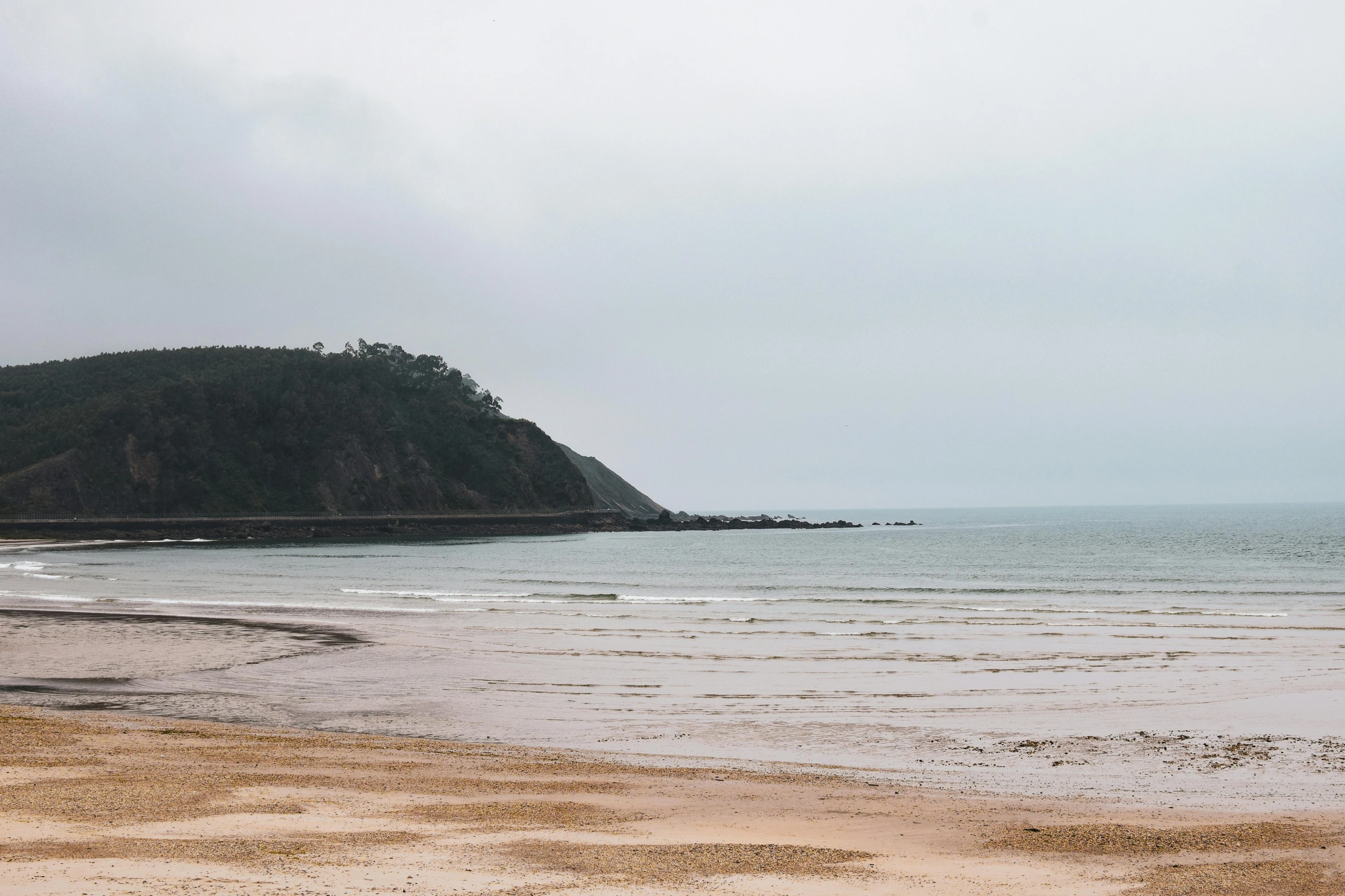 a man standing on top of a sandy beach next to the ocean, by Arabella Rankin, unsplash, les nabis, omaha beach, overcast day, in the distance is a rocky hill, beach trees in the background