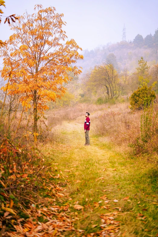 a person that is standing in the grass, by Lucia Peka, pexels contest winner, vermont fall colors, trees in the grassy hills, teenage boy, professionally color graded