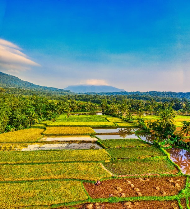 an aerial view of a rice field with mountains in the background, by Basuki Abdullah, pexels contest winner, today\'s featured photograph 4k, panorama distant view, shallow depth of field hdr 8 k, blue