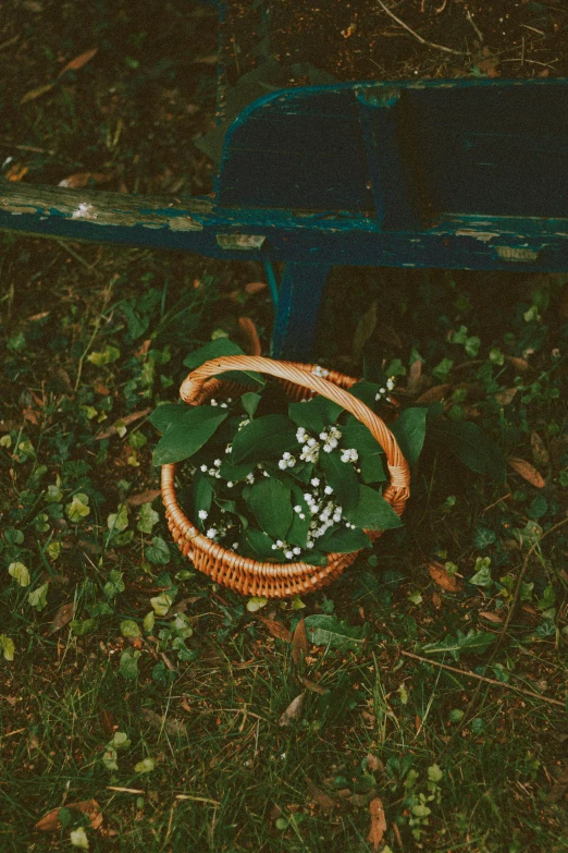 a basket of flowers sitting on the ground next to a bench, inspired by Elsa Bleda, strings of pearls, dark green, clover, medium