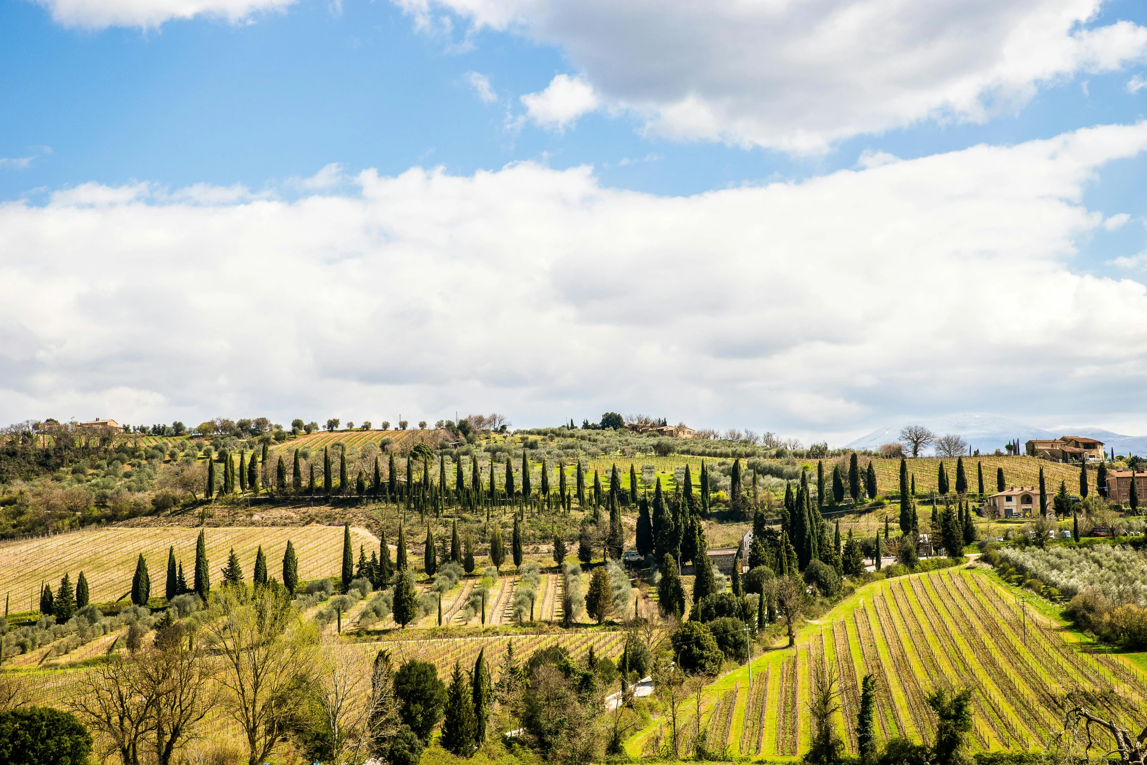 a view of the countryside from the top of a hill, by Carlo Martini, pexels contest winner, renaissance, cypress trees, wine, slightly sunny, conde nast traveler photo