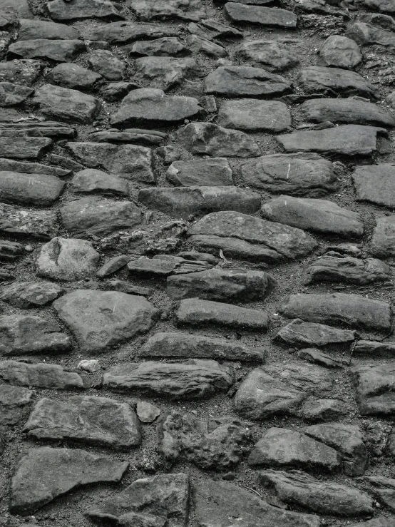 an empty black and white po of stone pavement